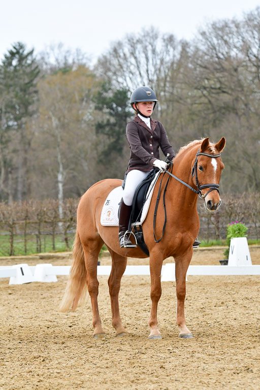 Reitsportzentrum Bremervörde | 170421 Dressurreiter L_480 