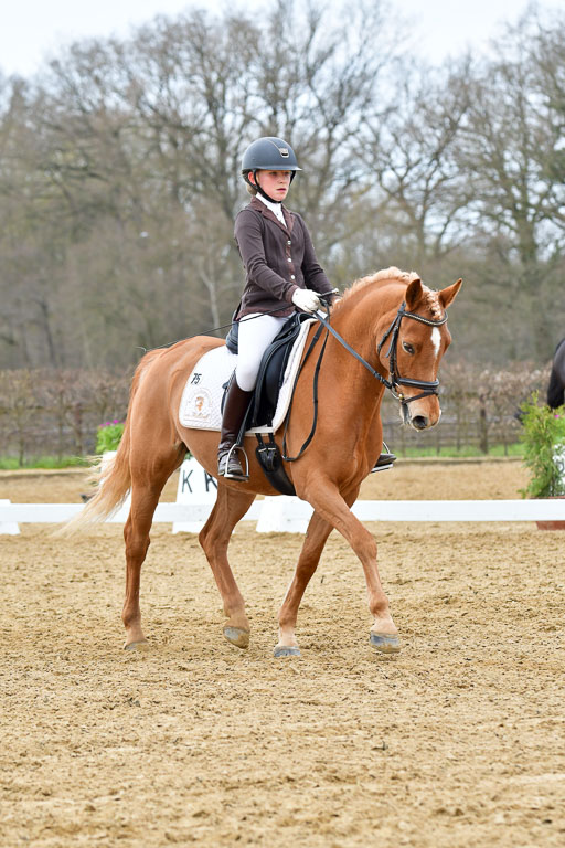 Reitsportzentrum Bremervörde | 170421 Dressurreiter L_481 