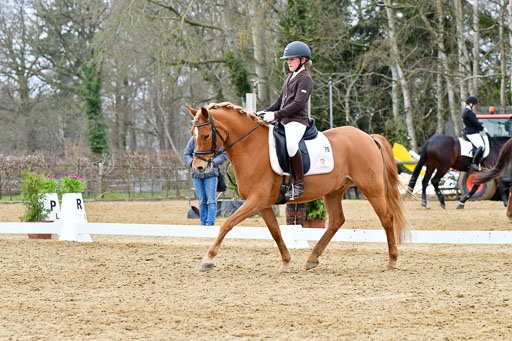 Reitsportzentrum Bremervörde | 170421 Dressurreiter L_482 