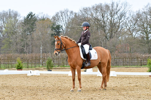 Reitsportzentrum Bremervörde | 170421 Dressurreiter L_484 