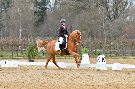 Reitsportzentrum Bremervörde | 170421 Dressurreiter L_486 