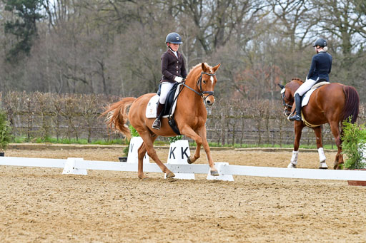 Reitsportzentrum Bremervörde | 170421 Dressurreiter L_487 