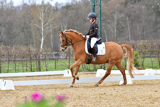 Reitsportzentrum Bremervörde | 170421 Dressurreiter L_490 