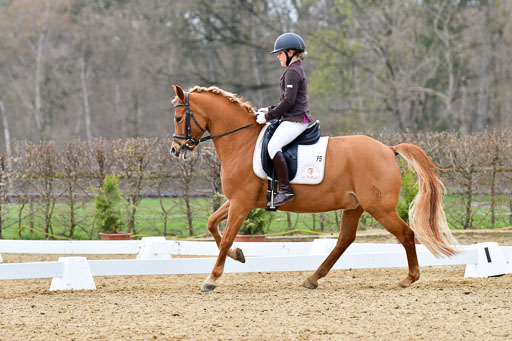 Reitsportzentrum Bremervörde | 170421 Dressurreiter L_492 