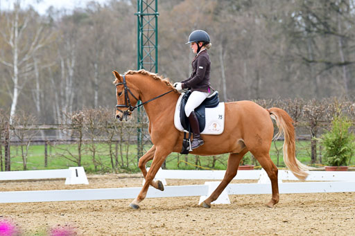 Reitsportzentrum Bremervörde | 170421 Dressurreiter L_493 