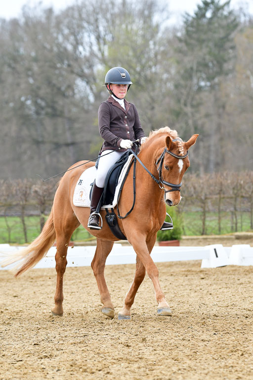Reitsportzentrum Bremervörde | 170421 Dressurreiter L_494 