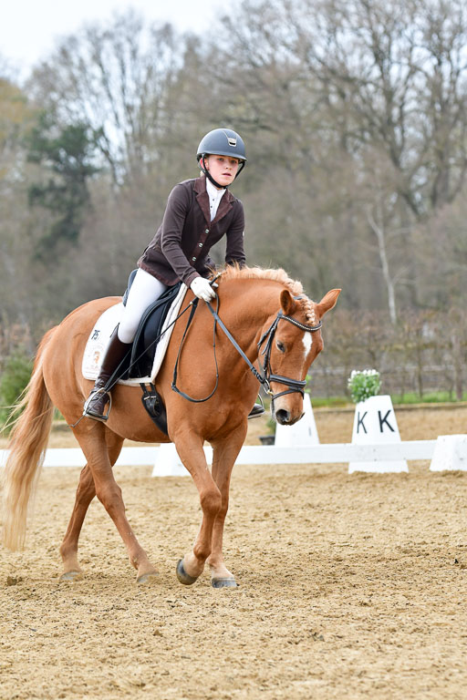 Reitsportzentrum Bremervörde | 170421 Dressurreiter L_495 