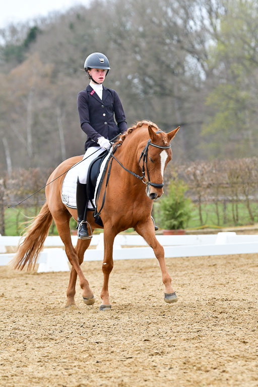 Reitsportzentrum Bremervörde | 170421 Dressurreiter L_498 
