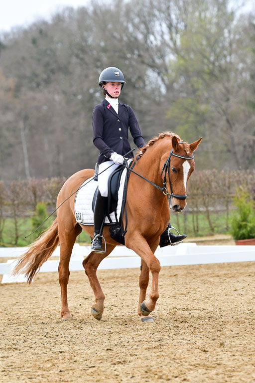 Reitsportzentrum Bremervörde | 170421 Dressurreiter L_499 