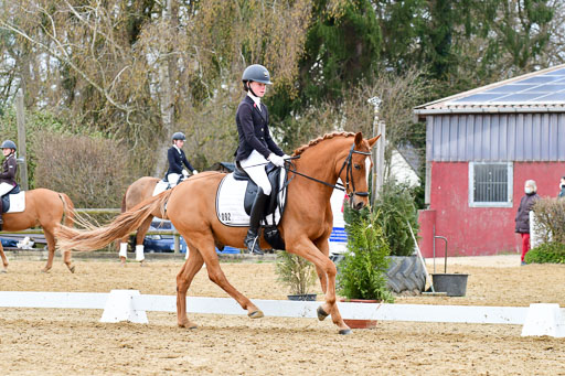 Reitsportzentrum Bremervörde | 170421 Dressurreiter L_504 