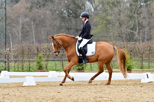 Reitsportzentrum Bremervörde | 170421 Dressurreiter L_505 