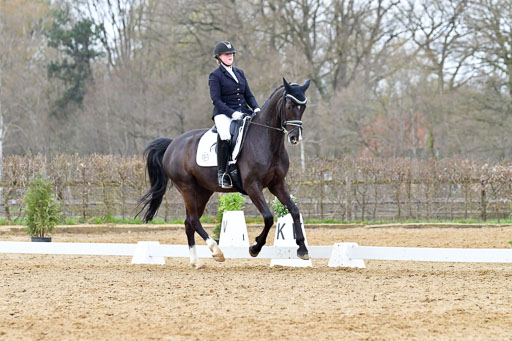 Reitsportzentrum Bremervörde | 170421 Dressurreiter L_513 