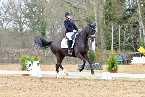 Reitsportzentrum Bremervörde | 170421 Dressurreiter L_515 