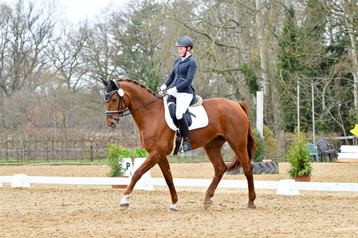 Reitsportzentrum Bremervörde | 170421 Dressurreiter L_522 