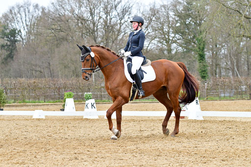 Reitsportzentrum Bremervörde | 170421 Dressurreiter L_523 