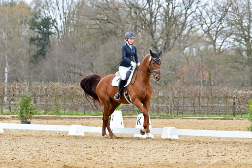 Reitsportzentrum Bremervörde | 170421 Dressurreiter L_526 