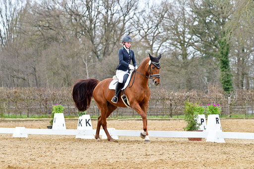 Reitsportzentrum Bremervörde | 170421 Dressurreiter L_527 