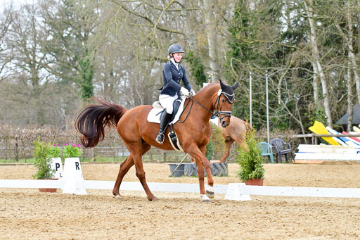 Reitsportzentrum Bremervörde | 170421 Dressurreiter L_529 