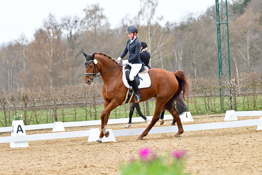 Reitsportzentrum Bremervörde | 170421 Dressurreiter L_530 