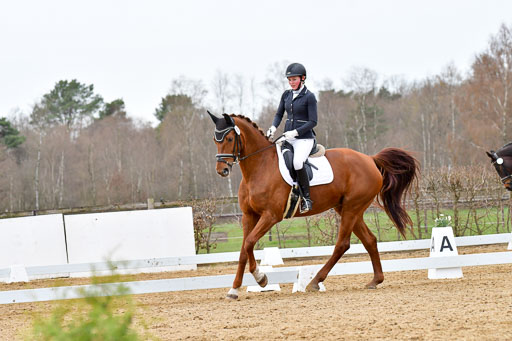 Reitsportzentrum Bremervörde | 170421 Dressurreiter L_531 