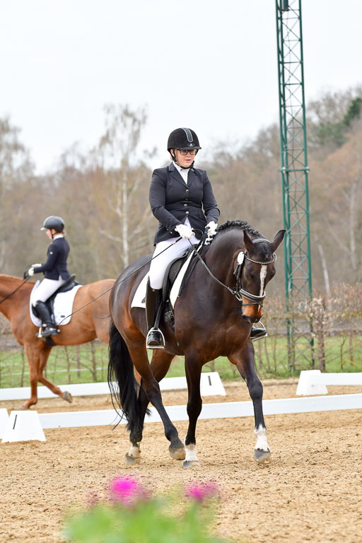 Reitsportzentrum Bremervörde | 170421 Dressurreiter L_534 