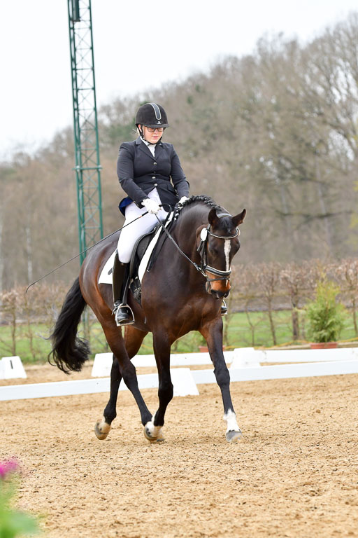 Reitsportzentrum Bremervörde | 170421 Dressurreiter L_535 
