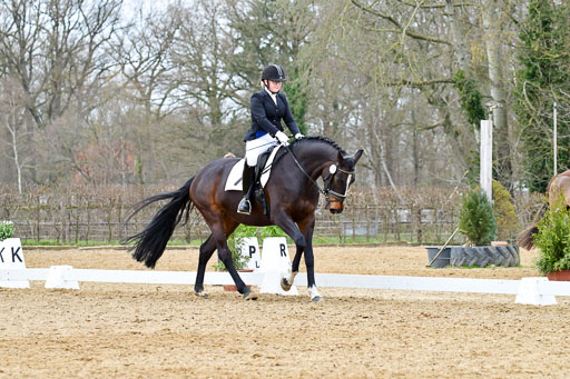 Reitsportzentrum Bremervörde | 170421 Dressurreiter L_537 