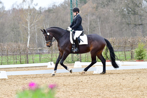 Reitsportzentrum Bremervörde | 170421 Dressurreiter L_539 