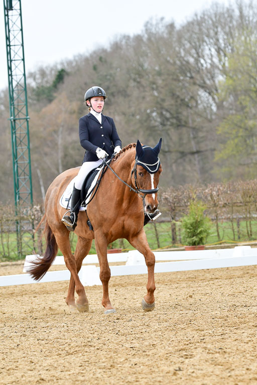 Reitsportzentrum Bremervörde | 170421 Dressurreiter L_541 