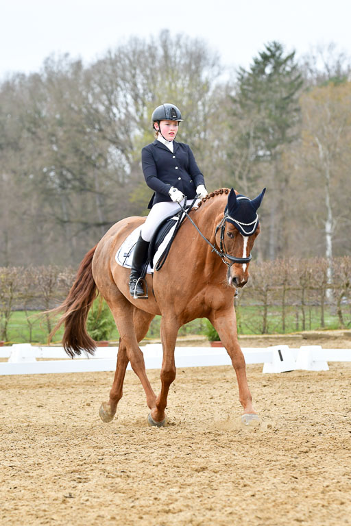 Reitsportzentrum Bremervörde | 170421 Dressurreiter L_542 