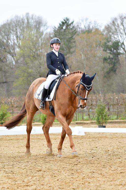 Reitsportzentrum Bremervörde | 170421 Dressurreiter L_543 