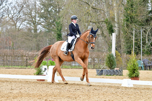 Reitsportzentrum Bremervörde | 170421 Dressurreiter L_546 