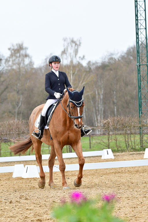 Reitsportzentrum Bremervörde | 170421 Dressurreiter L_548 