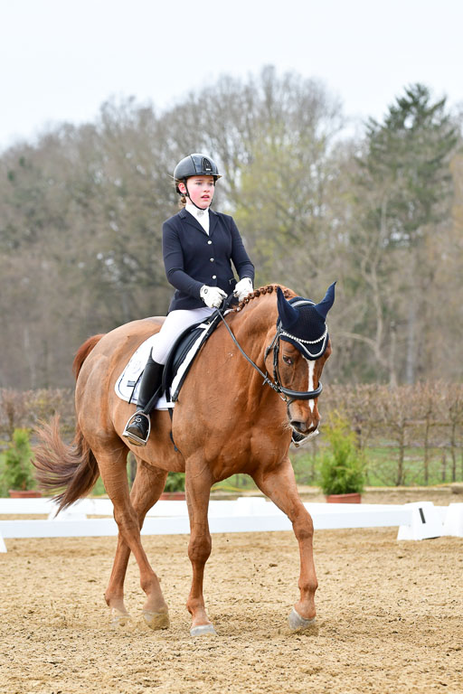 Reitsportzentrum Bremervörde | 170421 Dressurreiter L_549 