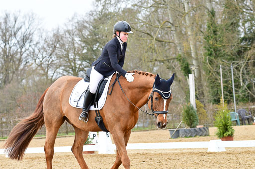 Reitsportzentrum Bremervörde | 170421 Dressurreiter L_550 
