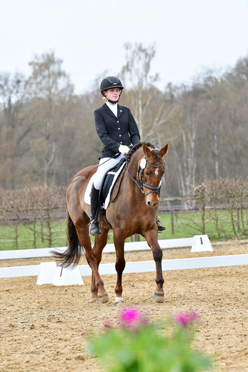 Reitsportzentrum Bremervörde | 170421 Dressurreiter L_551 