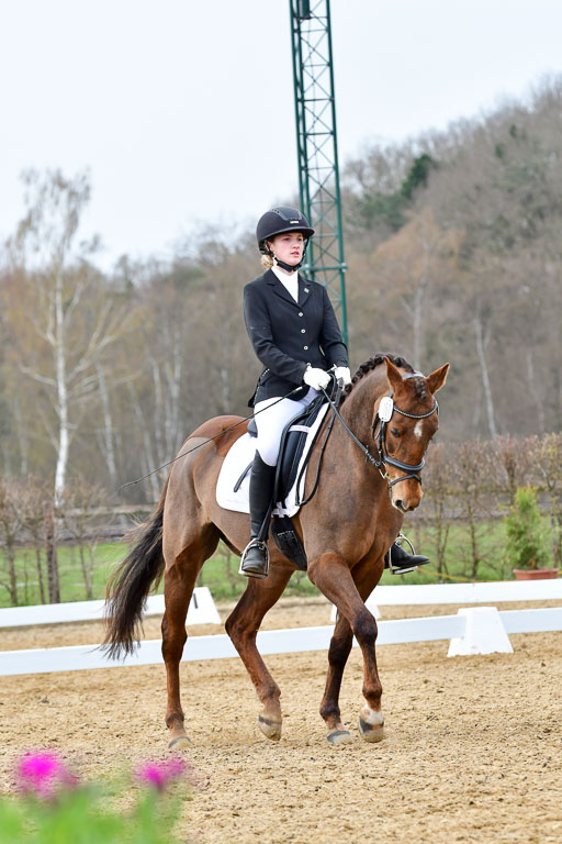 Reitsportzentrum Bremervörde | 170421 Dressurreiter L_552 