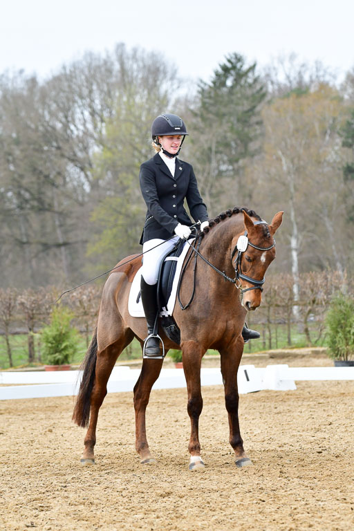Reitsportzentrum Bremervörde | 170421 Dressurreiter L_553 