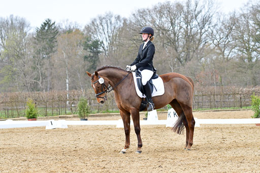 Reitsportzentrum Bremervörde | 170421 Dressurreiter L_556 