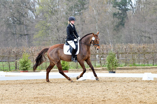 Reitsportzentrum Bremervörde | 170421 Dressurreiter L_557 
