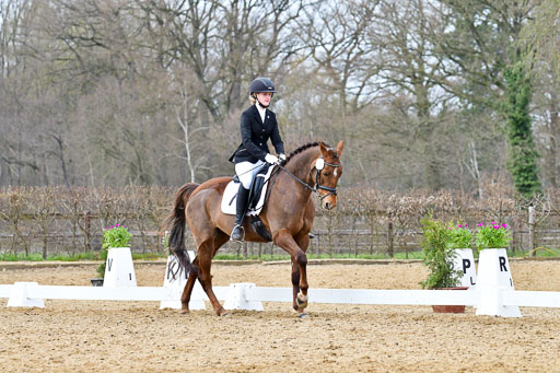 Reitsportzentrum Bremervörde | 170421 Dressurreiter L_560 