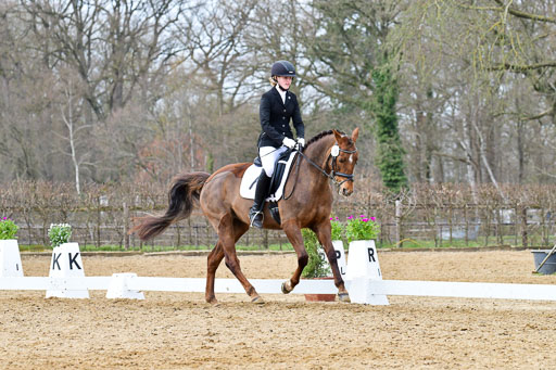 Reitsportzentrum Bremervörde | 170421 Dressurreiter L_561 