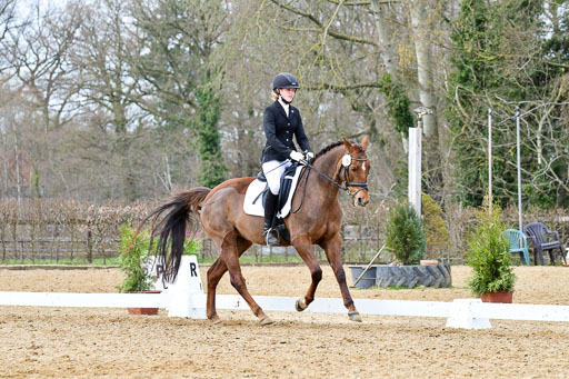 Reitsportzentrum Bremervörde | 170421 Dressurreiter L_562 