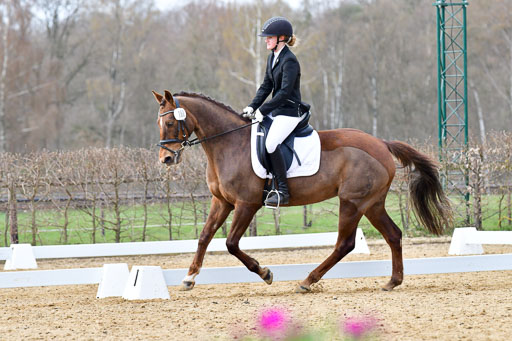 Reitsportzentrum Bremervörde | 170421 Dressurreiter L_563 