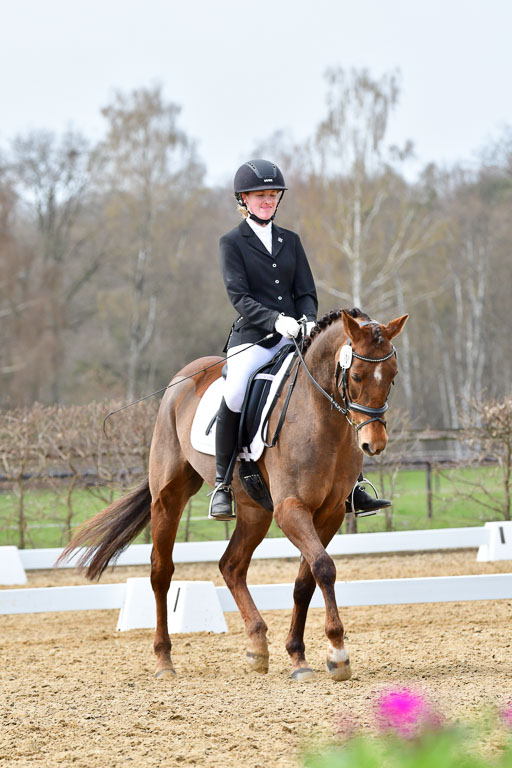 Reitsportzentrum Bremervörde | 170421 Dressurreiter L_564 