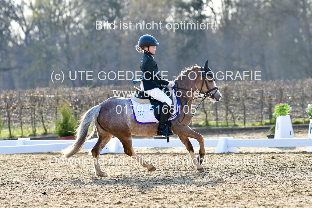 Reitsportzentrum Bremervörde | Dressurreiter WB _003