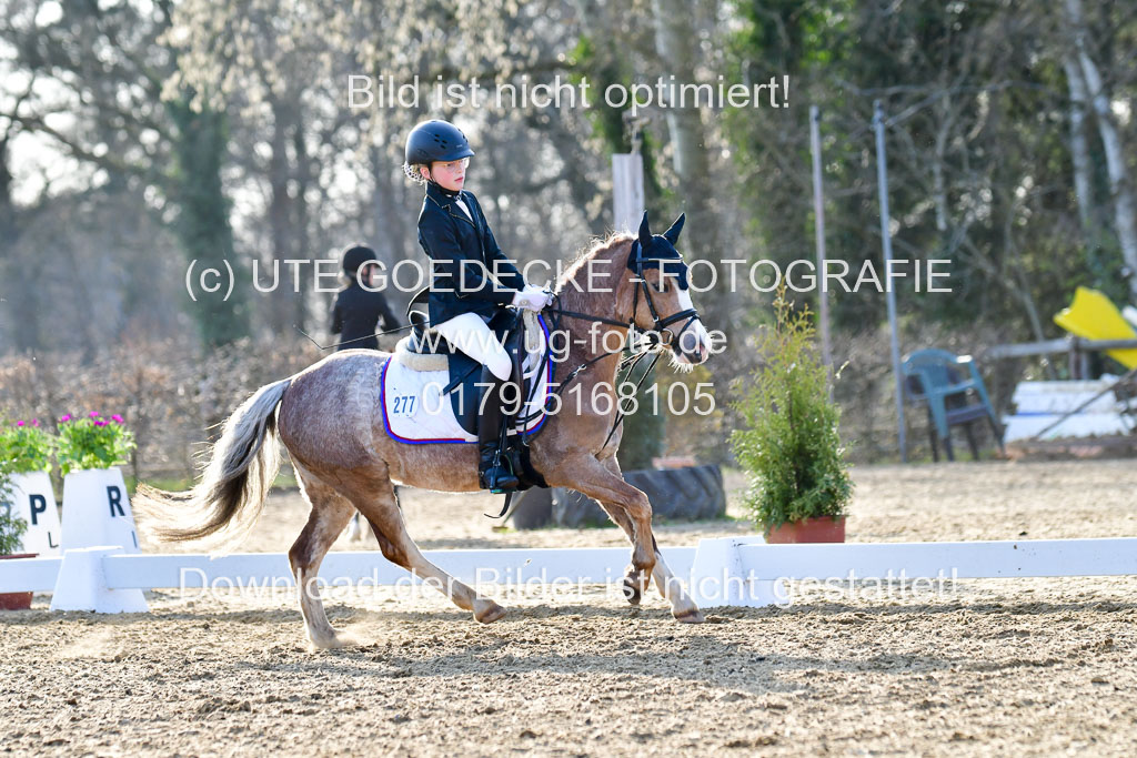 Reitsportzentrum Bremervörde | Dressurreiter WB _004 