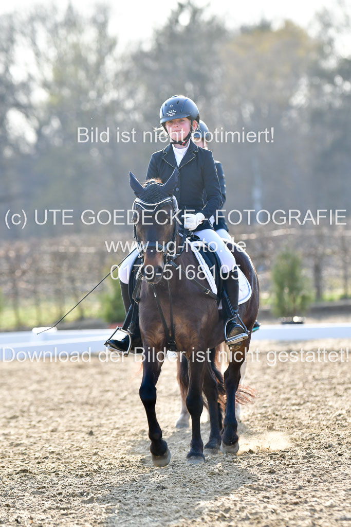 Reitsportzentrum Bremervörde | Dressurreiter WB _005 