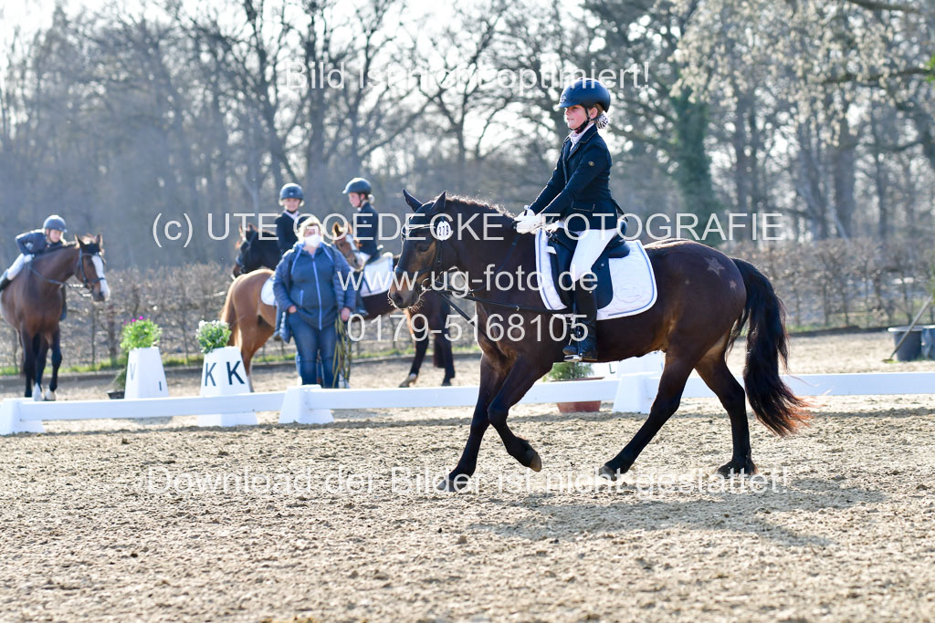 Reitsportzentrum Bremervörde | Dressurreiter WB _008