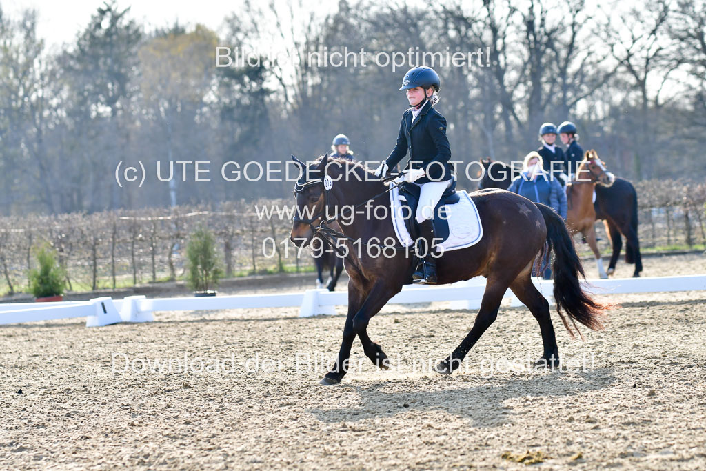 Reitsportzentrum Bremervörde | Dressurreiter WB _009 